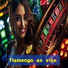 flamengo ao vivo multi tv